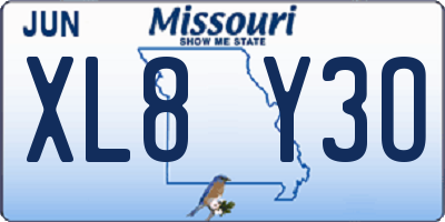 MO license plate XL8Y3O
