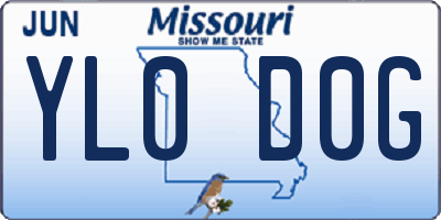 MO license plate YL0D0G