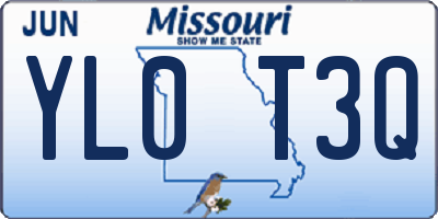 MO license plate YL0T3Q