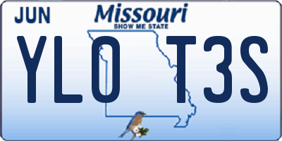 MO license plate YL0T3S