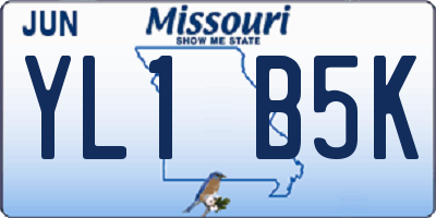 MO license plate YL1B5K