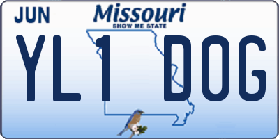 MO license plate YL1D0G
