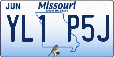 MO license plate YL1P5J