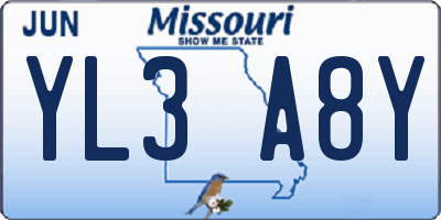 MO license plate YL3A8Y