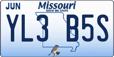 MO license plate YL3B5S