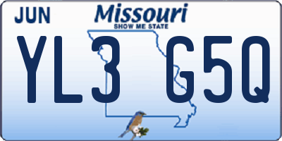 MO license plate YL3G5Q