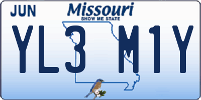 MO license plate YL3M1Y