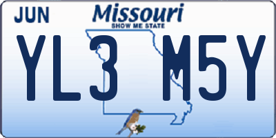 MO license plate YL3M5Y