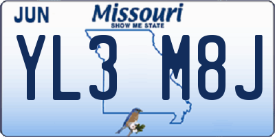 MO license plate YL3M8J