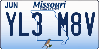 MO license plate YL3M8V