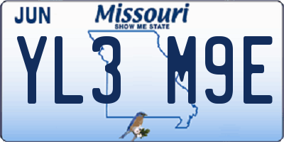 MO license plate YL3M9E