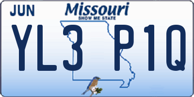 MO license plate YL3P1Q