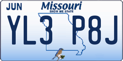 MO license plate YL3P8J