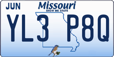 MO license plate YL3P8Q