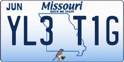 MO license plate YL3T1G