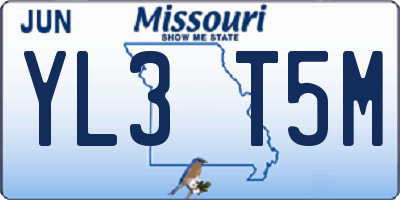 MO license plate YL3T5M