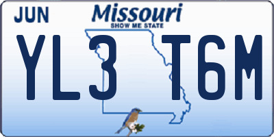 MO license plate YL3T6M