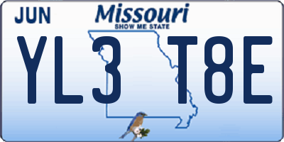MO license plate YL3T8E