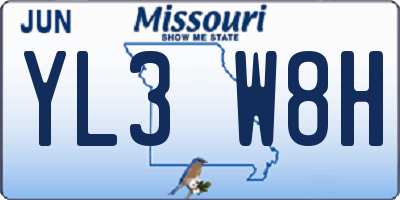 MO license plate YL3W8H