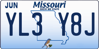 MO license plate YL3Y8J