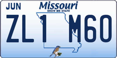 MO license plate ZL1M6O
