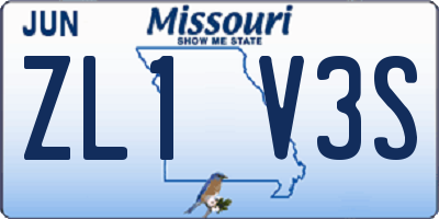 MO license plate ZL1V3S