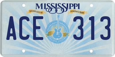 MS license plate ACE313