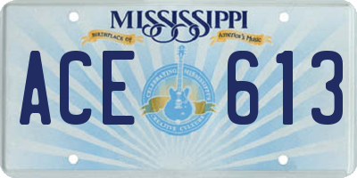 MS license plate ACE613
