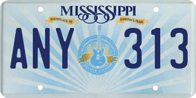 MS license plate ANY313