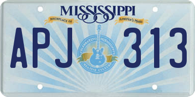 MS license plate APJ313