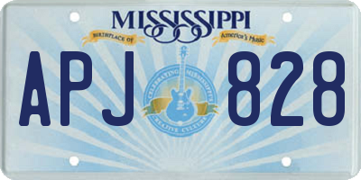 MS license plate APJ828