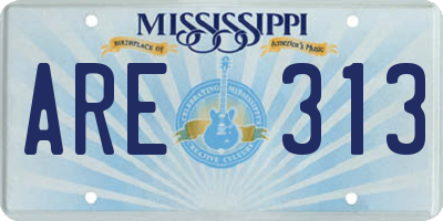 MS license plate ARE313