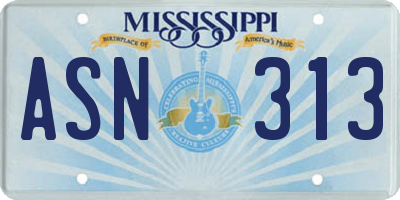 MS license plate ASN313