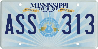 MS license plate ASS313
