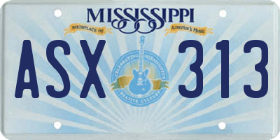 MS license plate ASX313