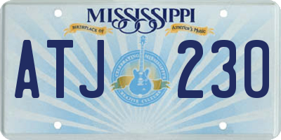 MS license plate ATJ230