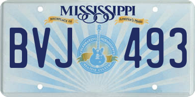MS license plate BVJ493