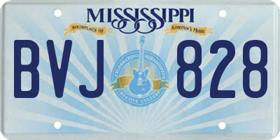 MS license plate BVJ828