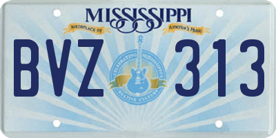 MS license plate BVZ313