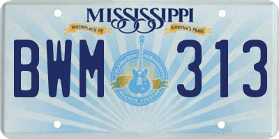MS license plate BWM313