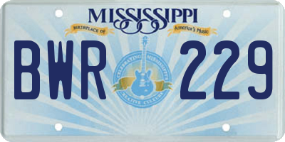 MS license plate BWR229