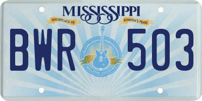 MS license plate BWR503