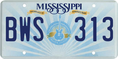 MS license plate BWS313