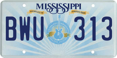 MS license plate BWU313