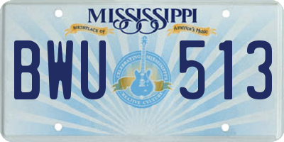 MS license plate BWU513