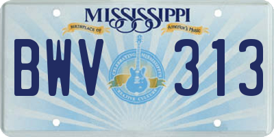 MS license plate BWV313