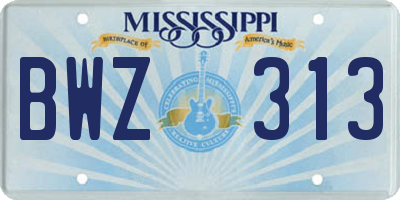 MS license plate BWZ313