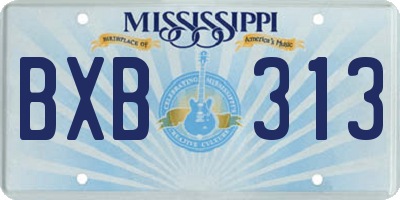 MS license plate BXB313