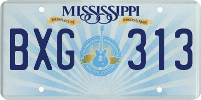MS license plate BXG313