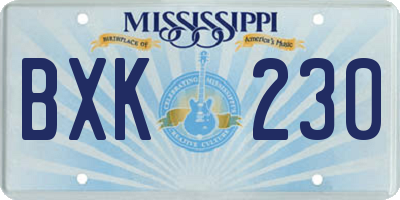 MS license plate BXK230